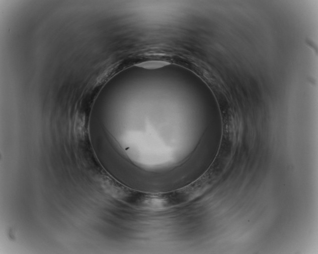 X0000097860610200803141240