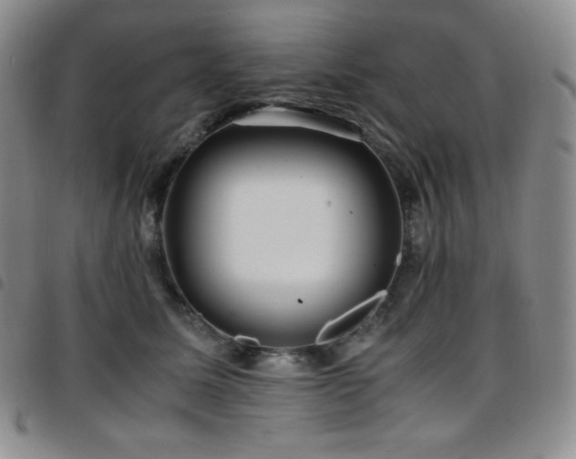 X0000097860611200803141240