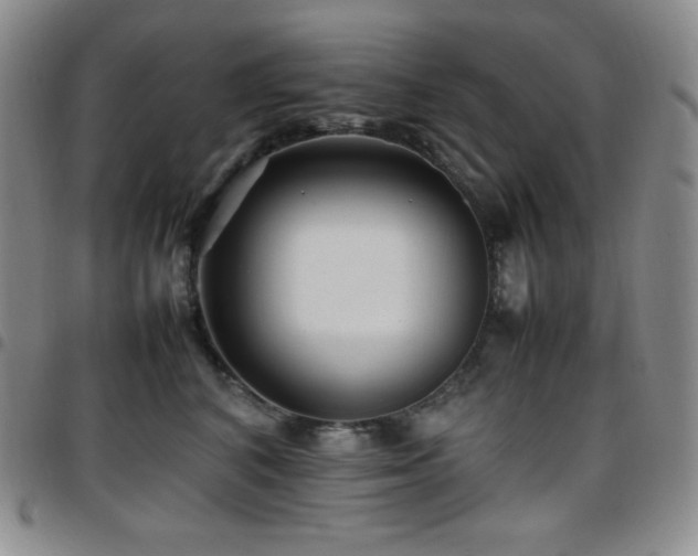 X0000097860616200803141240