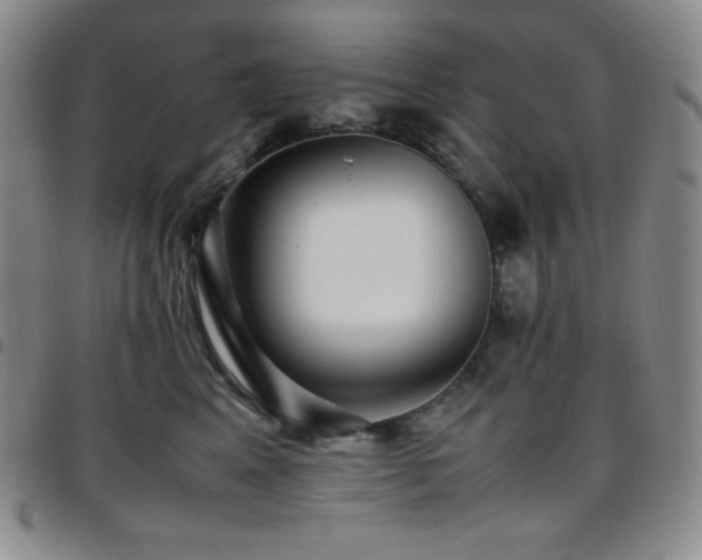 X0000097860617200803141240