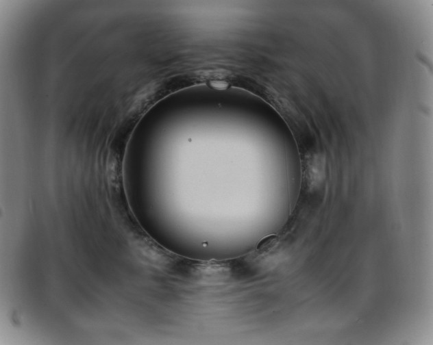 X0000097860619200803141240