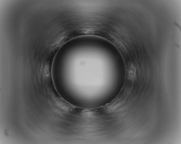 X0000097860620200803141240