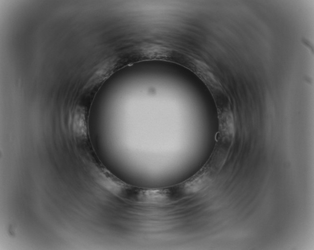 X0000097860622200803141240