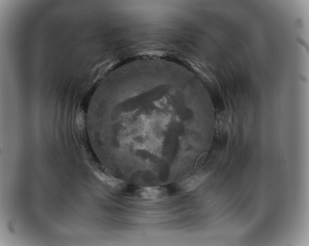 X0000097860623200803141240