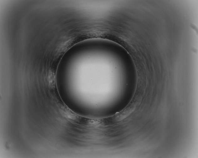 X0000097860624200803141240