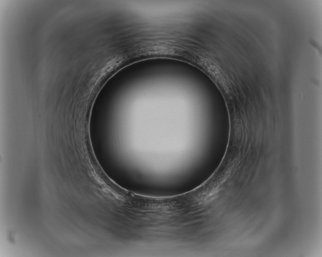 X0000097860625200803141239