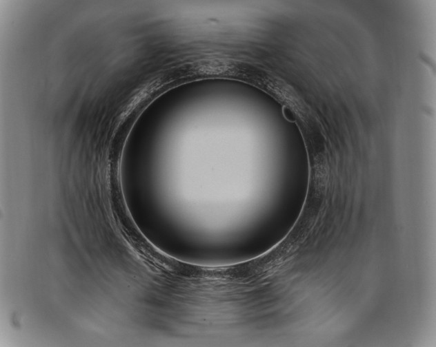 X0000097860626200803141239