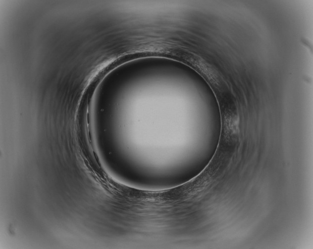 X0000097860628200803141239