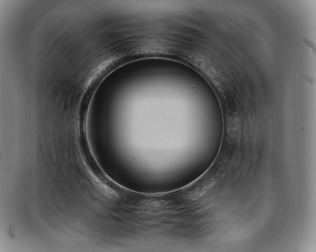 X0000097860629200803141239