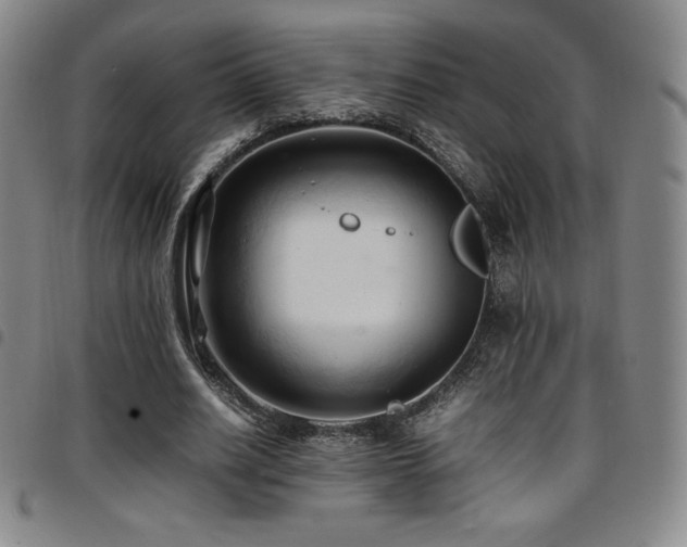 X0000097860630200803141239