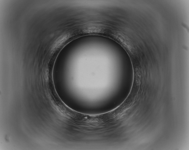 X0000097860631200803141239