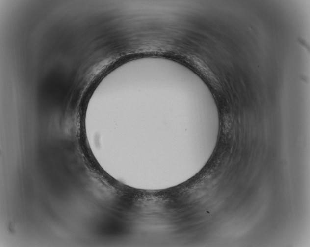 X0000097860632200803141239