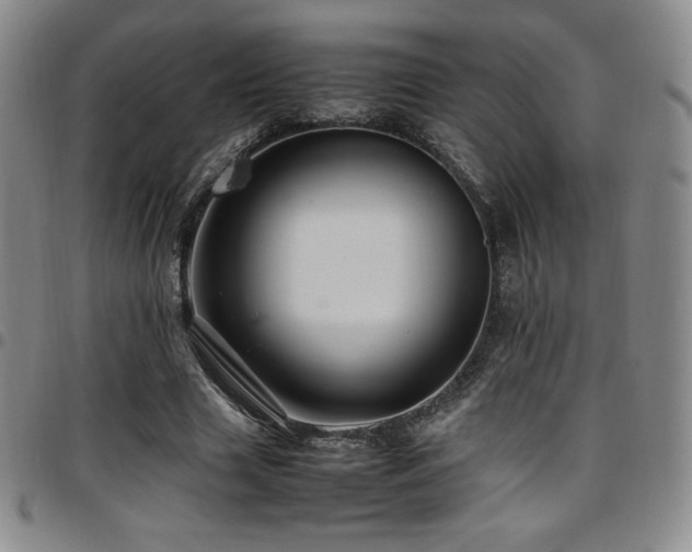 X0000097860633200803141239