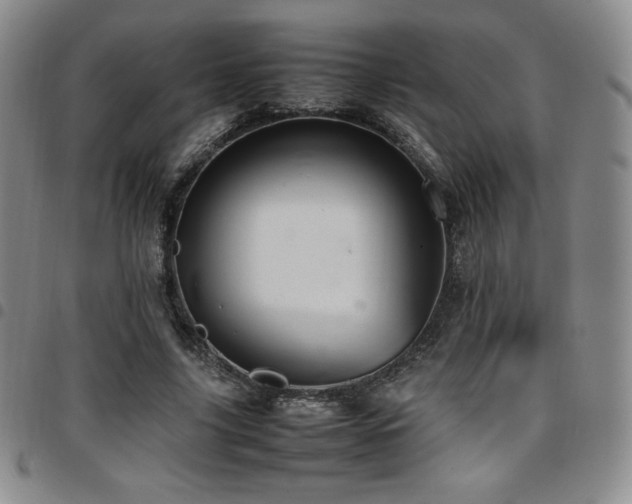 X0000097860635200803141239