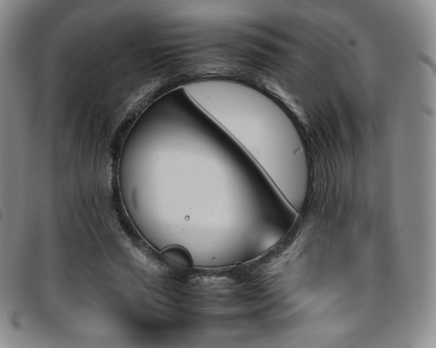 X0000097860637200803141239