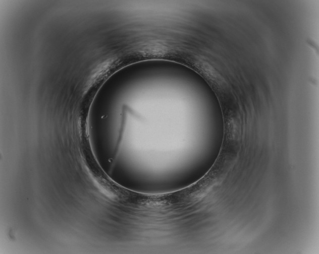 X0000097860638200803141239