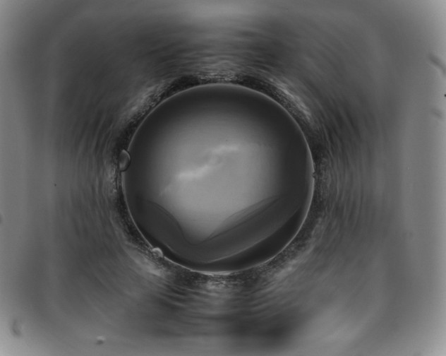 X0000097860641200803141239