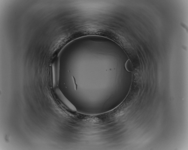 X0000097860642200803141239