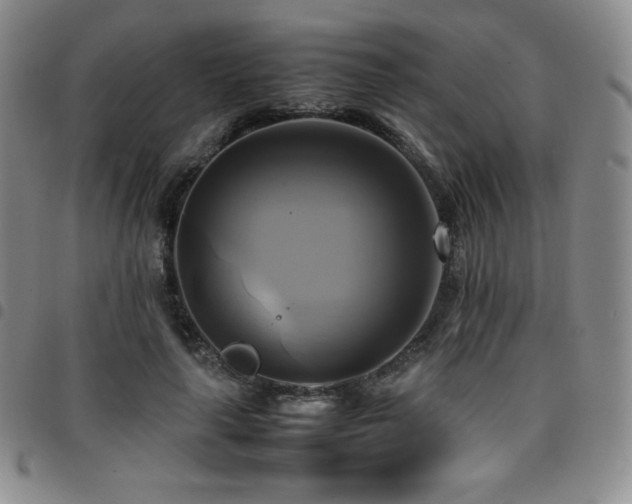 X0000097860643200803141239