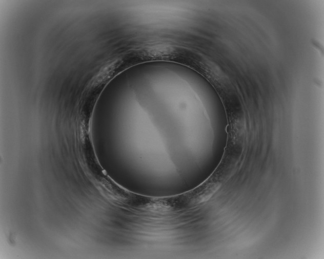 X0000097860644200803141239