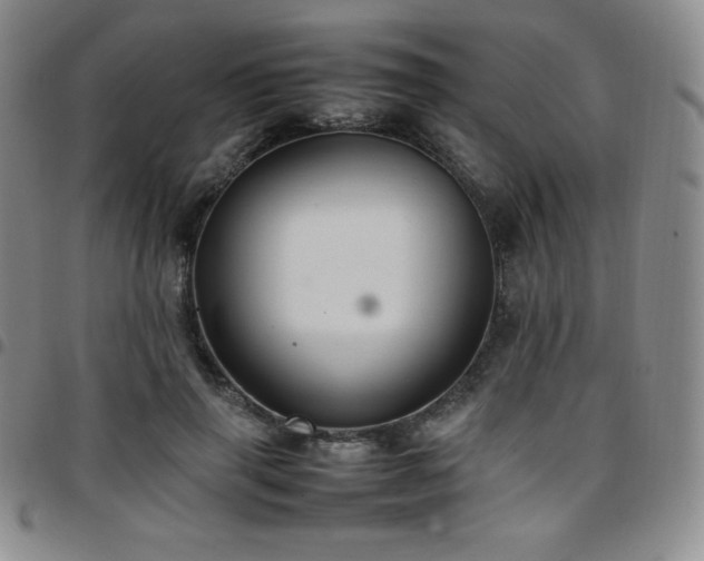 X0000097860645200803141239