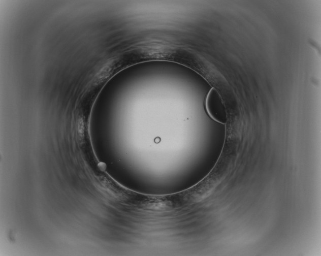 X0000097860646200803141239