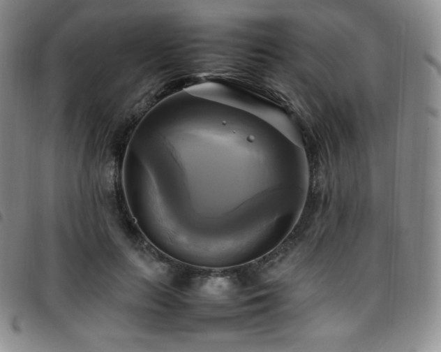 X0000097860647200803141239