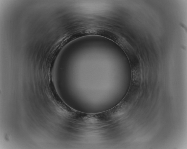 X0000097860648200803141239