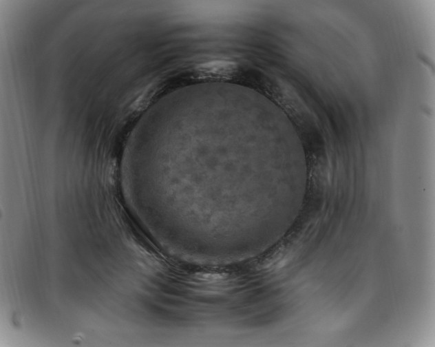 X0000097860649200803141239