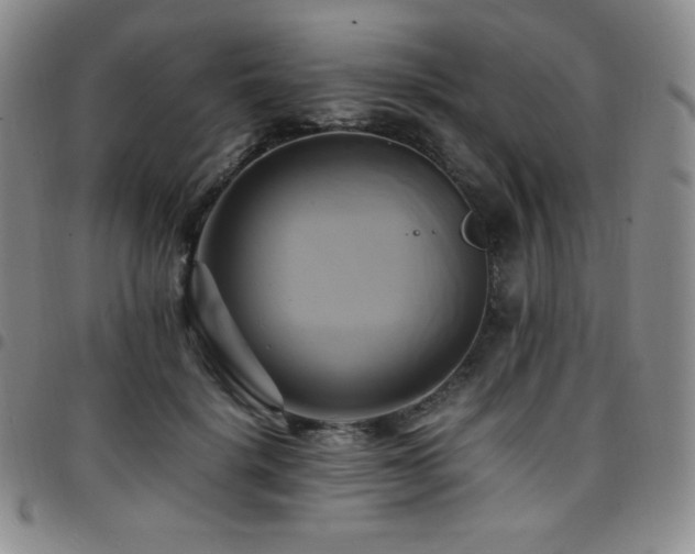 X0000097860652200803141239