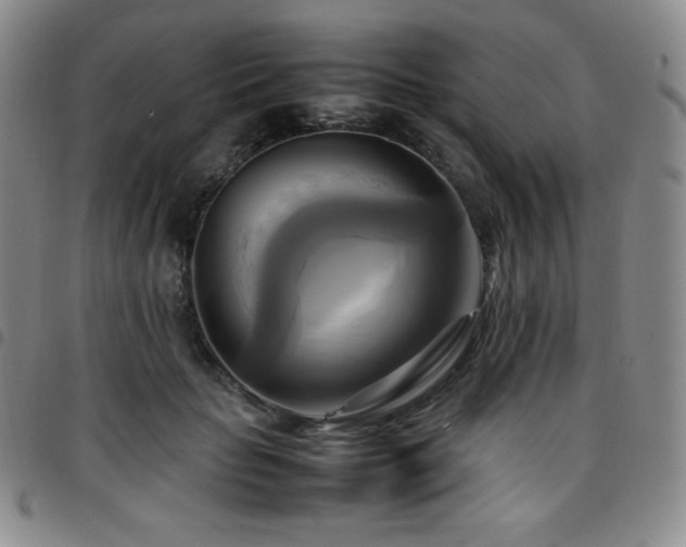 X0000097860653200803141239