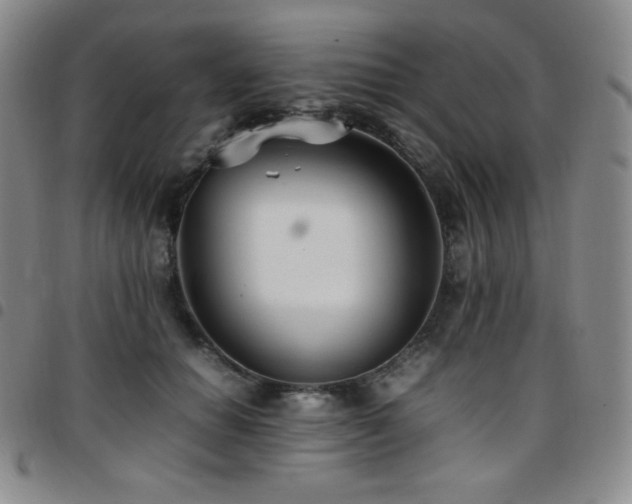 X0000097860654200803141239