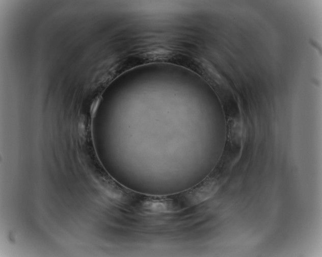 X0000097860655200803141239