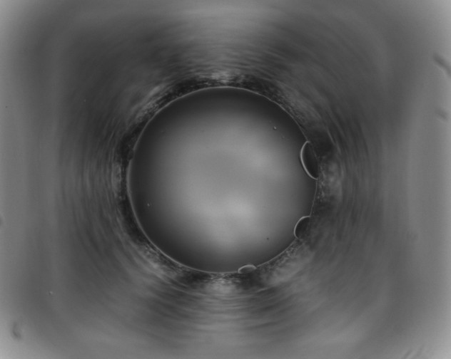 X0000097860656200803141239