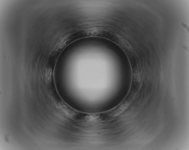 X0000097860660200803141239