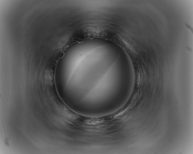 X0000097860661200803141239