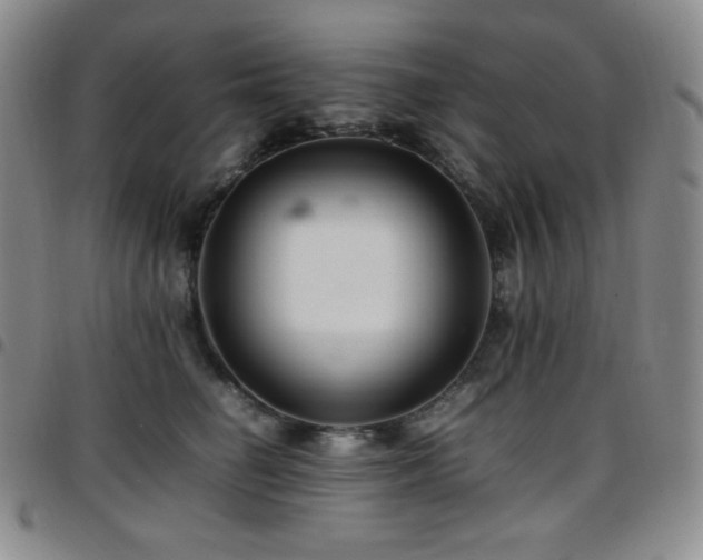 X0000097860662200803141239