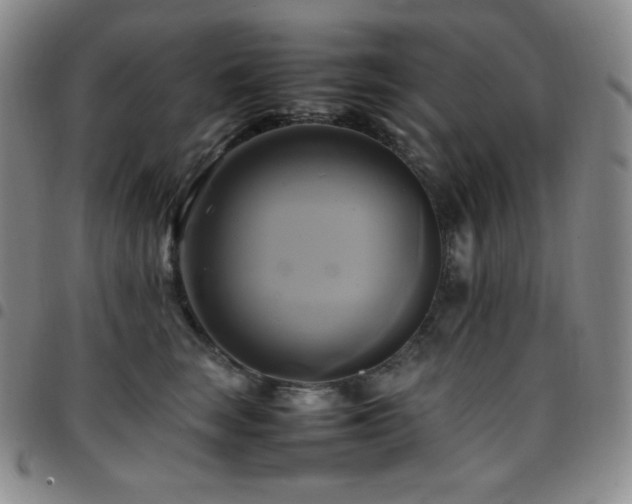 X0000097860663200803141240