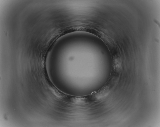 X0000097860664200803141240