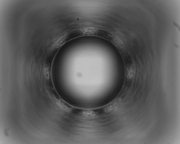 X0000097860666200803141240