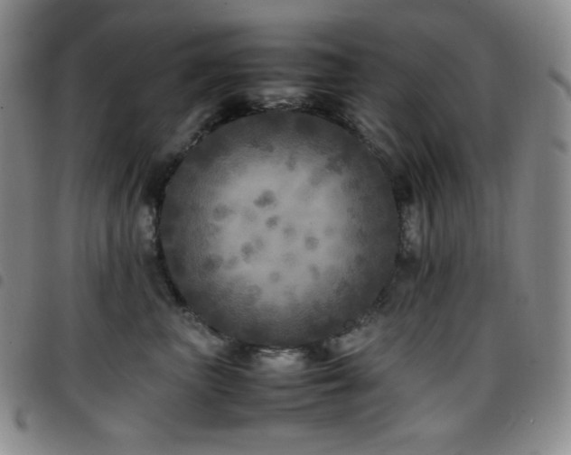 X0000097860667200803141240