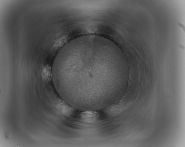 X0000097860672200803141240