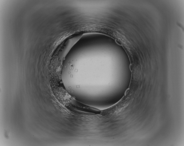 X0000097860673200803141239