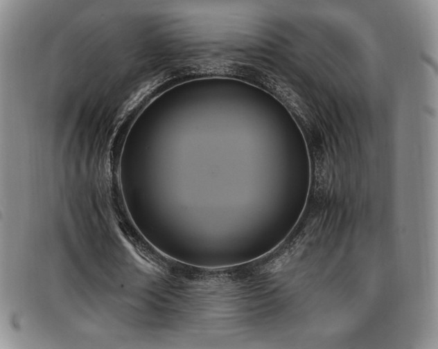 X0000097860674200803141239