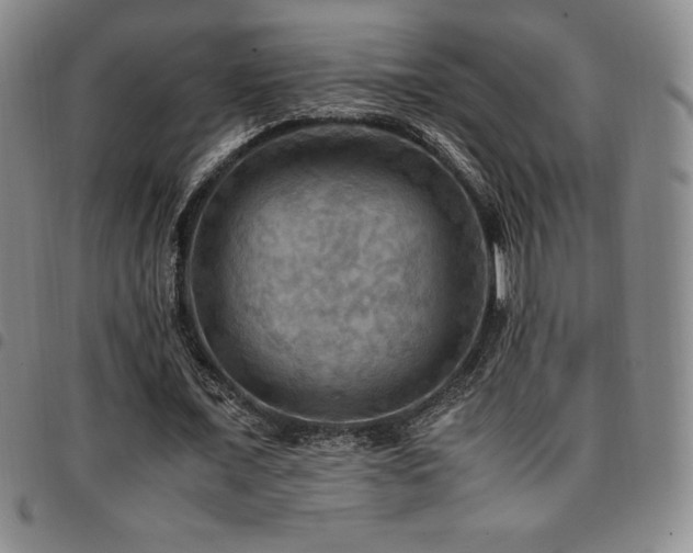 X0000097860675200803141239