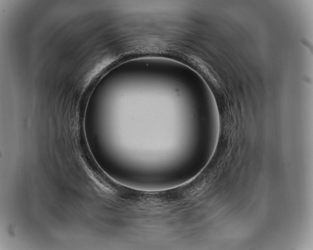 X0000097860677200803141239