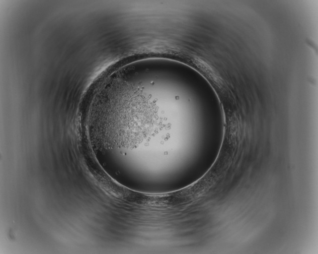 X0000097860680200803141239