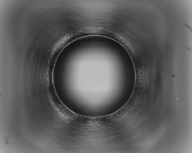 X0000097860682200803141239