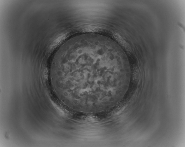 X0000097860683200803141239