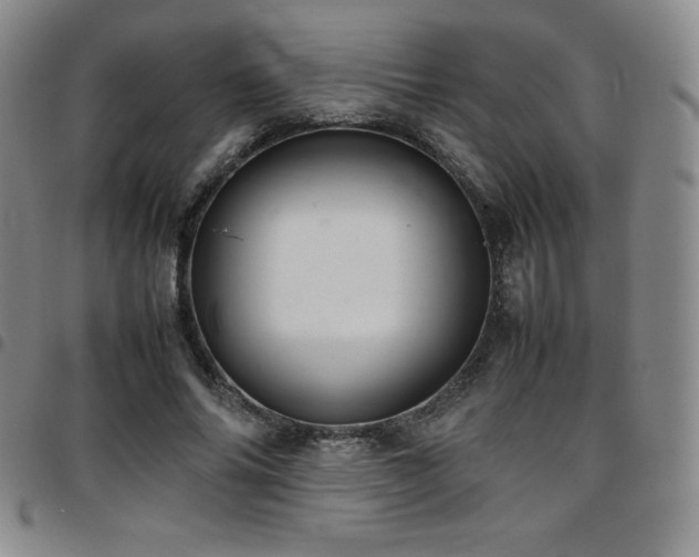 X0000097860686200803141239